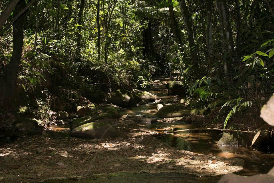 Hotel Fazenda Paraiso da Serra Congonhas (Minas Gerais) Exterior foto